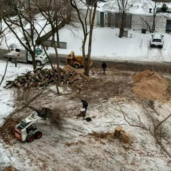 Trees Plus - Tree Services Near Me - Portage, Indiana