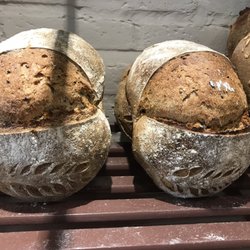 Masa Madre