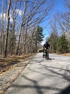Bar Harbor Bicycle Shop by null