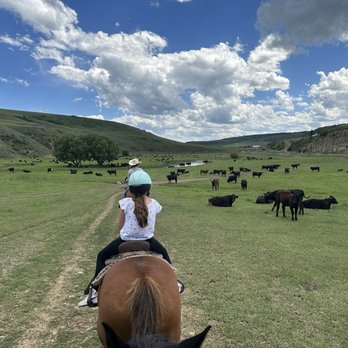 Saddleback Ranch - Ride through the cattle!!! - Tubing Near Me - Steamboat Springs, Colorado Saddleback Ranch - Ride through the cattle!!! - Tubing Near Me - Steamboat Springs, Colorado