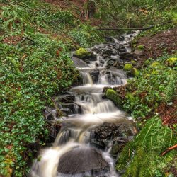 The Treehouse Massage - The seasonal creek that flows past The Treehouse Massage