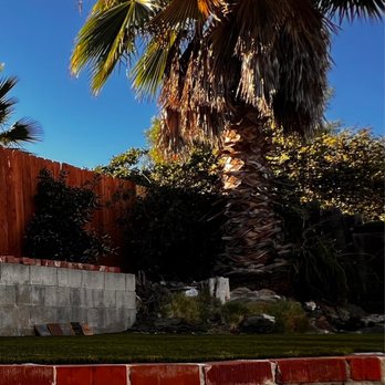 Pilo Landscaping and Maintenance - Before - Landscaping Near Me Pilo Landscaping and Maintenance - Before - Landscaping Near Me