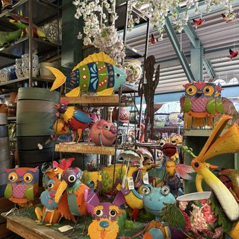 Dutch Flowers - Florists Near Me - Kansas City, Missouri Dutch Flowers - Florists Near Me - Kansas City, Missouri