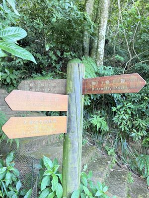 Kadoorie Farm and Botanic Garden by null