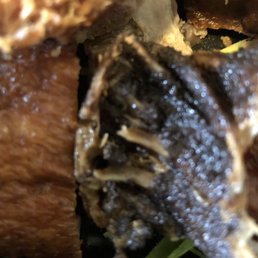 Duck was so dry, most parts were unbeatable. Terrible waste of money. Duck was so dry, most parts were unbeatable. Terrible waste of money.
