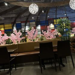 Cherry Blossom Sushi Bar - Indoor