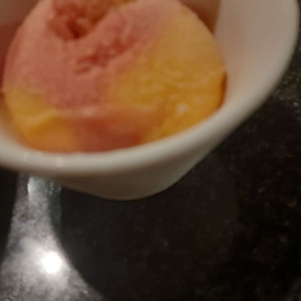Wu's Ramen - Sorbet: It was complementary! So hospitable. - Ramen Near Me - Orland Park, Illinois