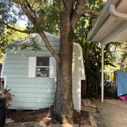 Gonzalez & Perez Landscaping - Remove tress