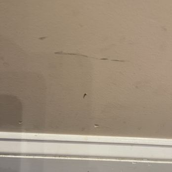 Carpet & Door Mart - Damage to wall - Carpeting Near Me - Johnson City, Tennessee