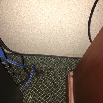 Ramada by Wyndham Indiana - Coffee grounds on the floor - Hotels Near Me - Indiana, Pennsylvania