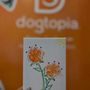 Dogtopia