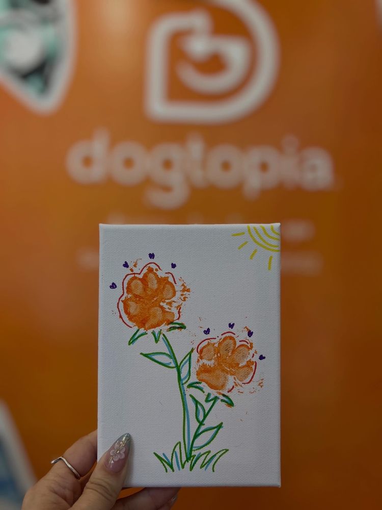 Dogtopia - pet boarding facility in Humble, TX