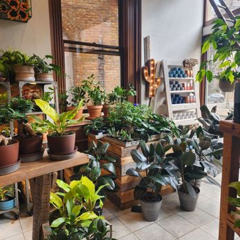 River Garden Studio - Florists Near Me - Albany, New York