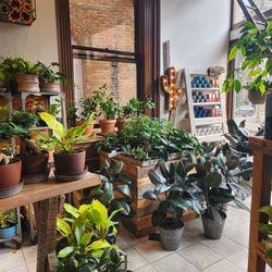 River Garden Studio
