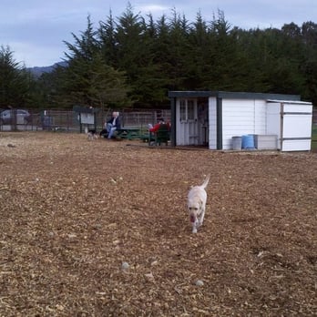 Half Moon Bay Dog Park - Dog Parks Near Me - Half Moon Bay, California Half Moon Bay Dog Park - Dog Parks Near Me - Half Moon Bay, California
