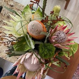 Protea Live Protea Live