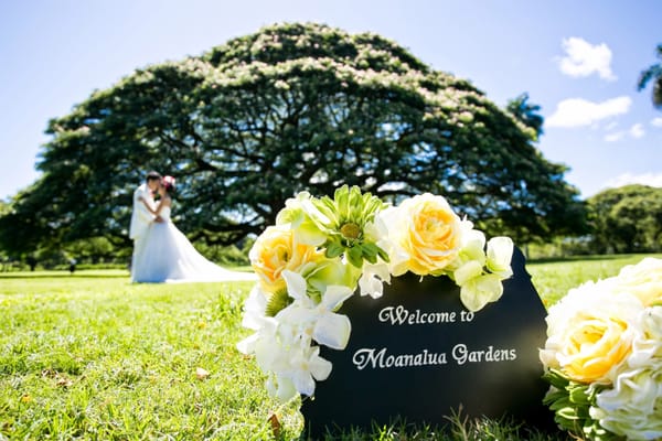 Moanalua Gardens by null