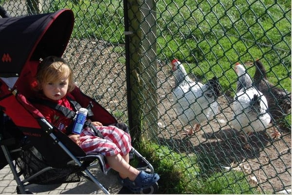 Airfield Estate by null