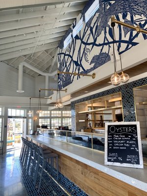 Hog Island Larkspur by null