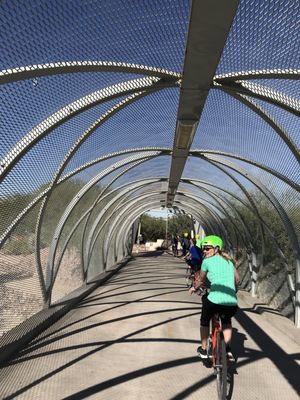 Tucson Bike Tours by null