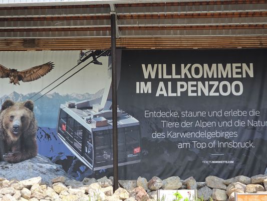 Alpenzoo Innsbruck - Tirol by null