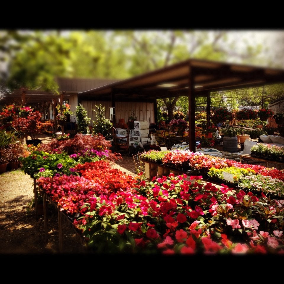 BRATCHER’S NURSERY & BOTANICAL BOUTIQUE 3258 Us82 E, Paris, Texas