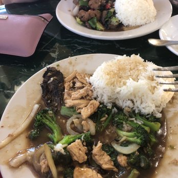 Lotus Vegan Restaurant - Vietnamese Near Me - Pinellas Park, Florida Lotus Vegan Restaurant - Vietnamese Near Me - Pinellas Park, Florida