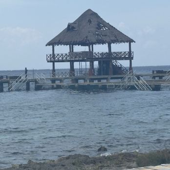 Dolphin Discovery - Gathering area for dolphin and manatee - Aquariums Near Me - Cozumel, ROO Dolphin Discovery - Gathering area for dolphin and manatee - Aquariums Near Me - Cozumel, ROO