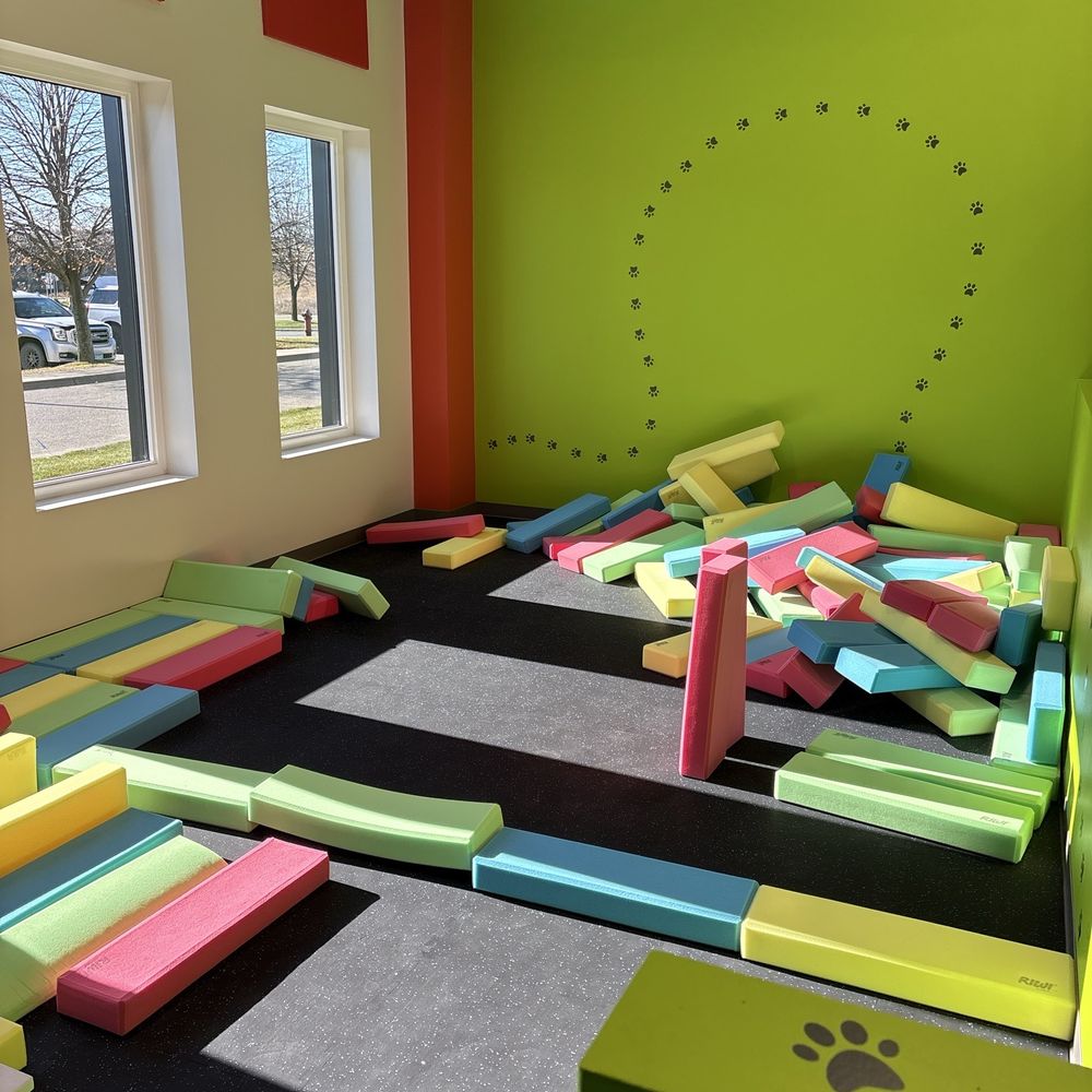 Wild Things Indoor Playground - Indoor Playcenter Near Me - Lakeville, Minnesota Wild Things Indoor Playground - Indoor Playcenter Near Me - Lakeville, Minnesota