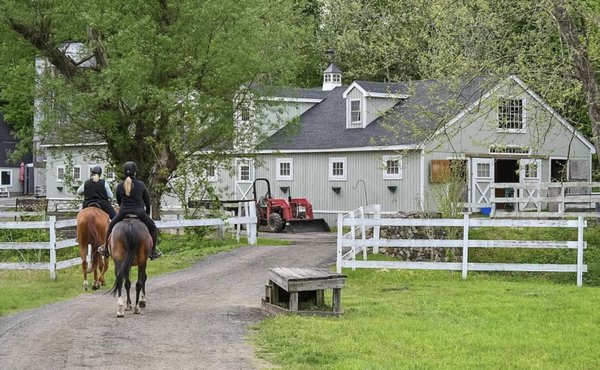 Why Stonecrest Farm? - Eamonn and Holly Gillespie decided to open this beautiful equine facility to give riders and horses a relaxing environment in which their partnership can grow.
Stonecrest Farm is a family run facility with many years of horse experience combined to provide a knowledgeable and caring staff to care for horse and rider.
Stonecrest offers both indoor and outdoor riding facilities as well as a talented staff to assist you in your riding goals. Why Stonecrest Farm? - Eamonn and Holly Gillespie decided to open this beautiful equine facility to give riders and horses a relaxing environment in which their partnership can grow.
Stonecrest Farm is a family run facility with many years of horse experience combined to provide a knowledgeable and caring staff to care for horse and rider.
Stonecrest offers both indoor and outdoor riding facilities as well as a talented staff to assist you in your riding goals.