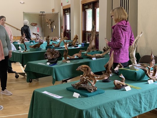 Northshore Senior Center by null