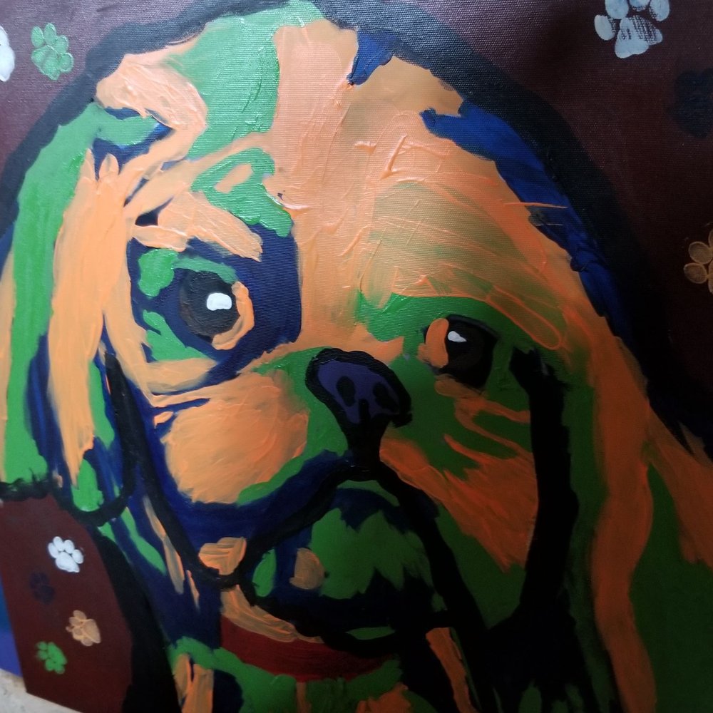 Calliope Street - Chewy with his hair cut - Art Classes Near Me - Oviedo, Florida