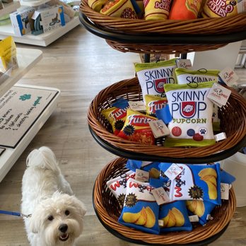 Diggidy Dog - All the toys!!! - Pet Stores Near Me - Carmel, California Diggidy Dog - All the toys!!! - Pet Stores Near Me - Carmel, California