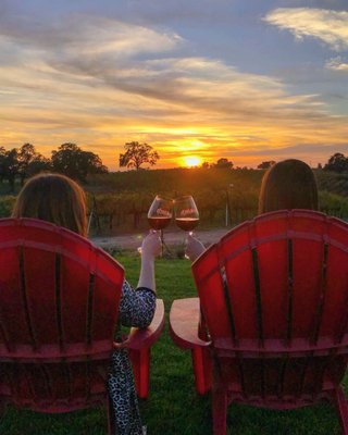 Bokisch Vineyards by null