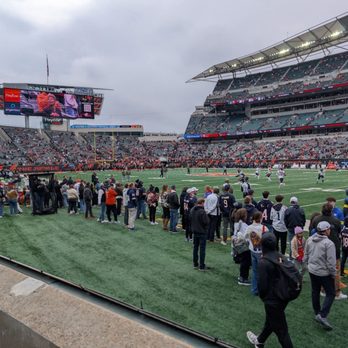Cincinnati Bengals - Professional Sports Teams Near Me - Cincinnati, Ohio