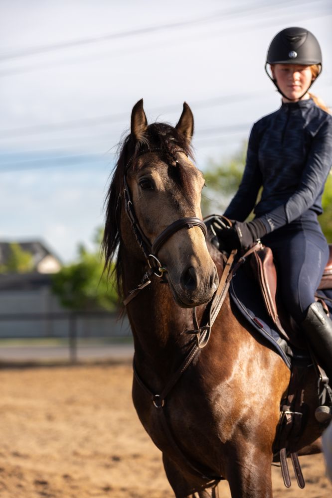Dynamic Equestrian - equestrian in Lehi, UT