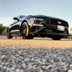 Heatstroke Mobile Detail, Pressure Washing and More - GT Mustang 5.0 wash and wax