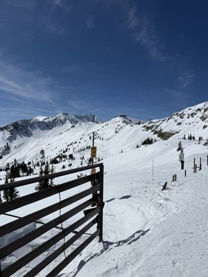 Alta Ski Area by null