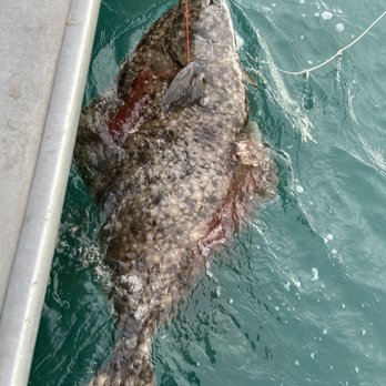 Bottom Line Charters - Halibut! I - Fishing Near Me - Ninilchik, Alaska
