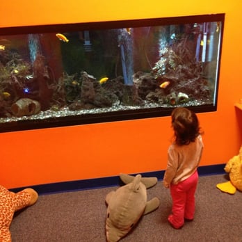 Kids Town Play And Party - Party & Event Planning Near Me - Aurora, Illinois Kids Town Play And Party - Party & Event Planning Near Me - Aurora, Illinois