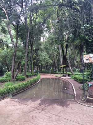 Parque México by null