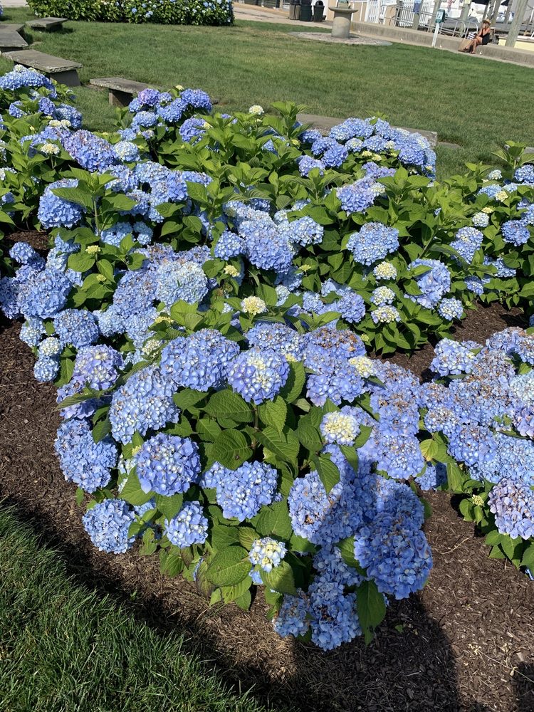 Watch Hill Merry Go Round & Beach