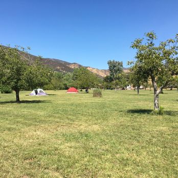 Cache Canyon River Trips - Camping area - Rafting/Kayaking Near Me
