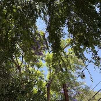 Hidden House Coffee - Coffee & Tea Near Me - San Juan Capistrano, California
