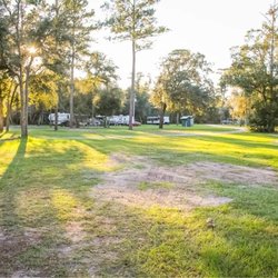 St Mary's Cove - Spacious campsites and grounds to roam!