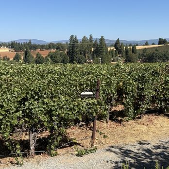 Lewis Grace Winery - Wineries Near Me - Placerville, California
