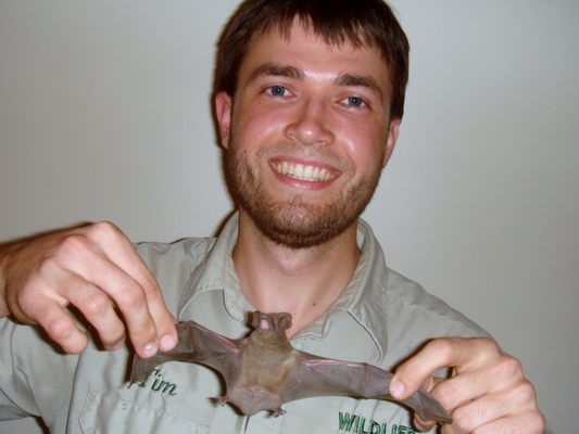 Baltimore Wild Animal Removal