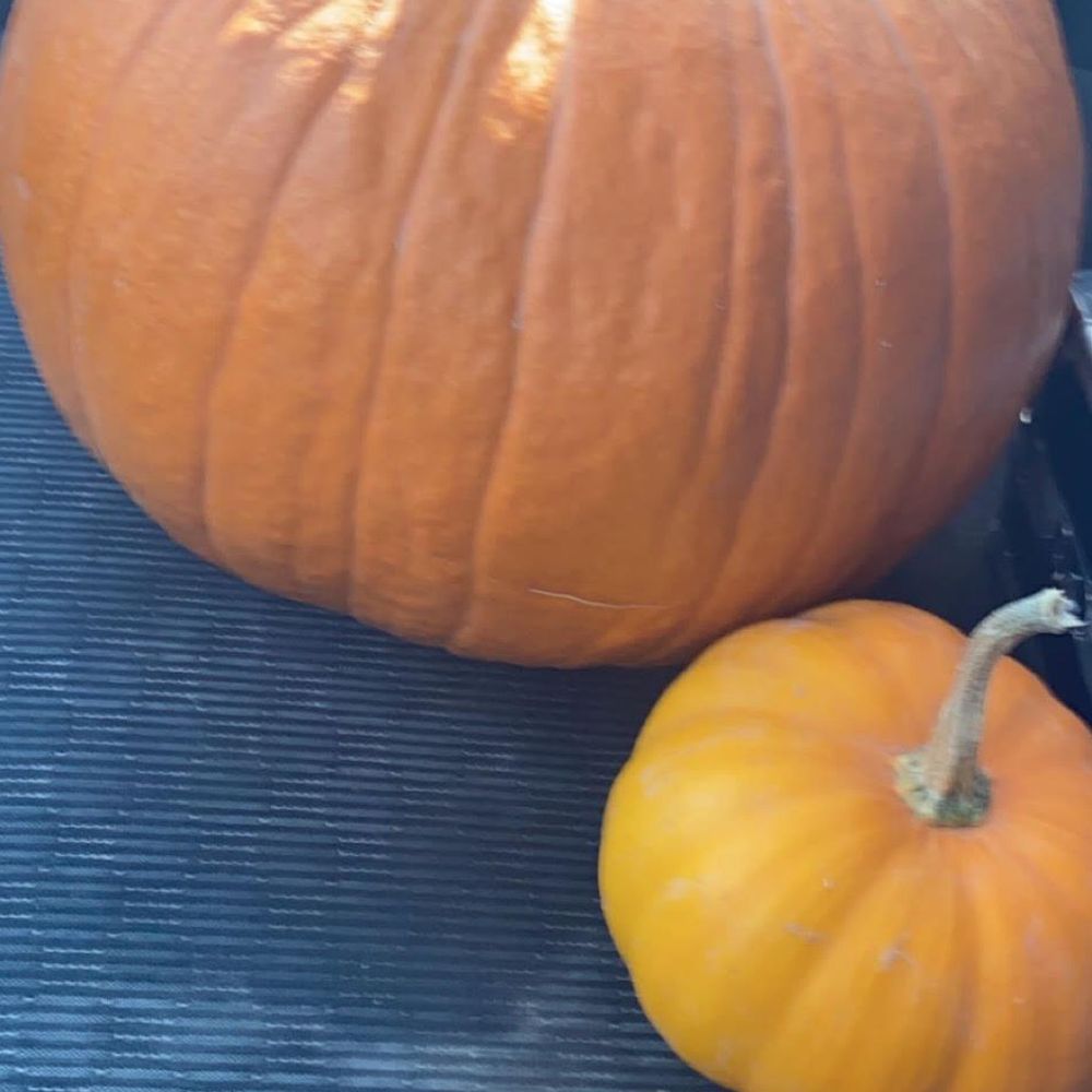 Mabey’s Pumpkin Patch - A midsize boy & a $1 mini. Both of which are now chillin on my porch ) - Pumpkin Patches Near Me - South Jordan, Utah Mabey’s Pumpkin Patch - A midsize boy & a $1 mini. Both of which are now chillin on my porch ) - Pumpkin Patches Near Me - South Jordan, Utah