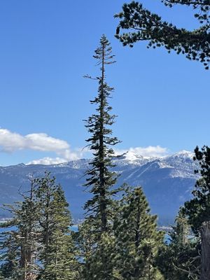 D. L. Bliss State Park by null