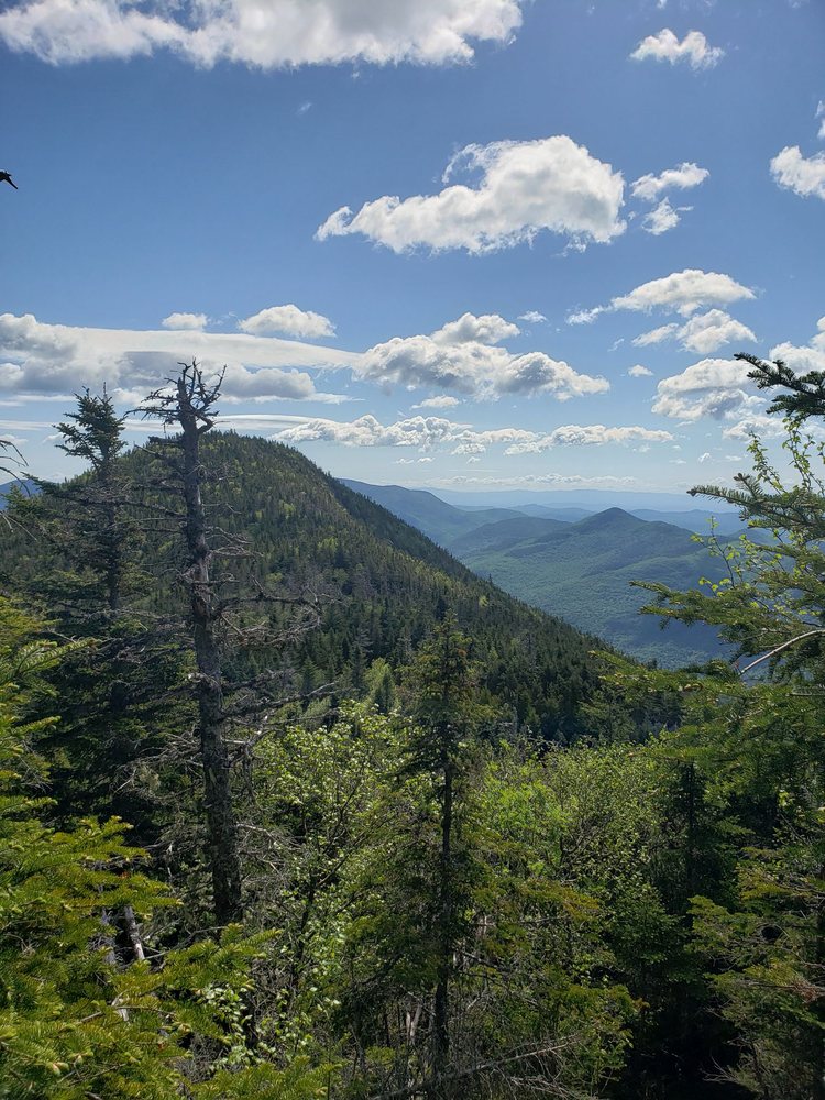 Adirondack Land Trust Logo